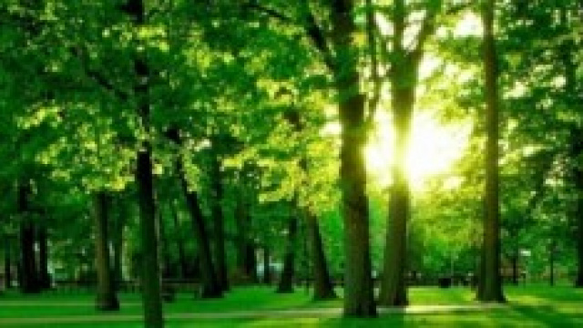 Nuovo modello abitativo nel rispetto dell'ambiente