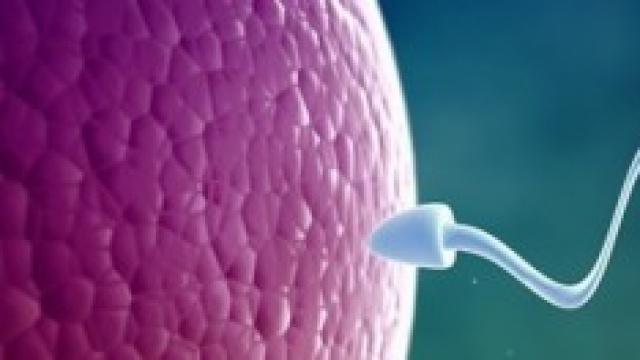 abolizione legge40, ok alla fecondazione eterologa