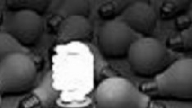 energie rinnovabili per l'occupazione