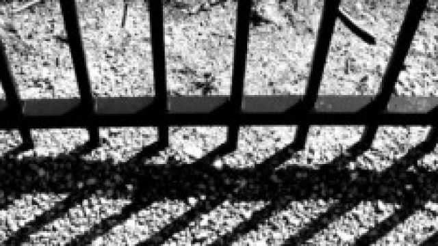 Amnistia e indulto 2014: le ultime notizie
