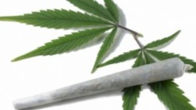 Cannabis e sterilit&agrave; maschile