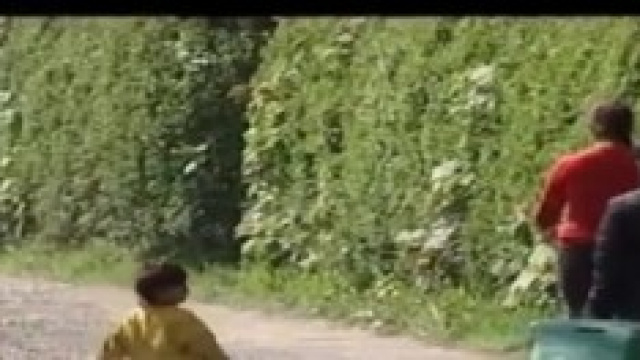 Milano, casette prefabbricate con giardino ai rom