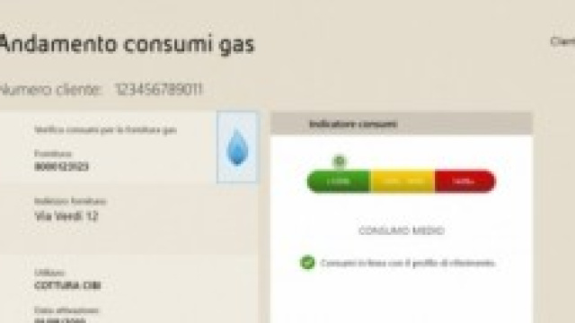 Schermata di controllo dei consumi di gas e luce