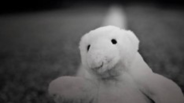Un horror 'fai da te' che va fino in fondo