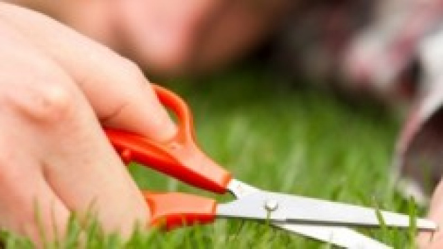 Ossessioni e compulsioni 