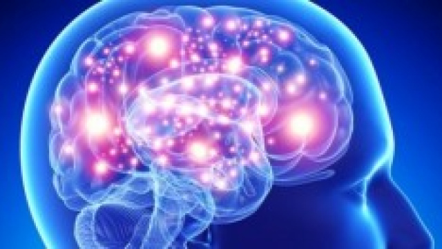 foto: i neuroni ricettori del cervello