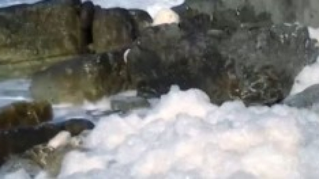 Schiuma bianca nel mare Tirreno