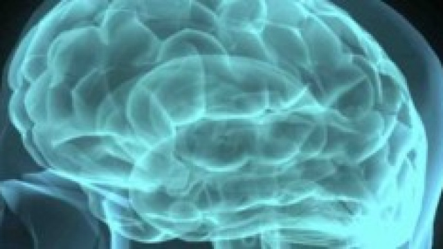 il cervello sano non ancora colpito da Alzheimer