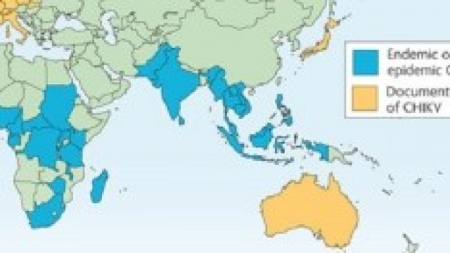 OMS e la propagazione del virus Chikungunya