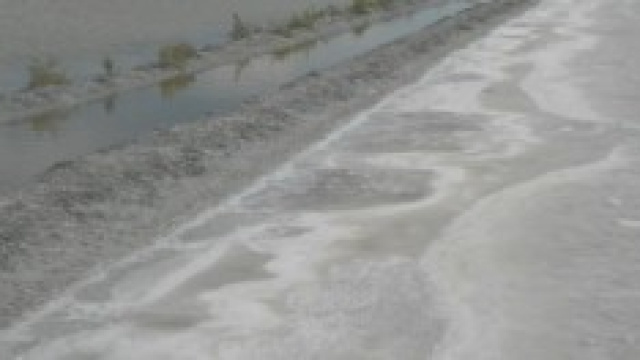 Un'immagine delle saline di Cervia