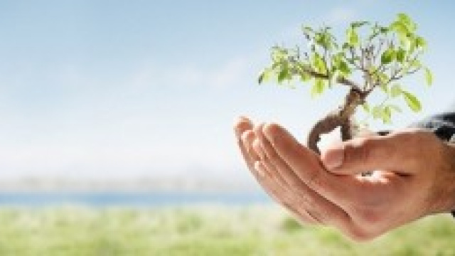 La natura nelle tue mani.