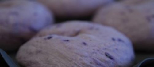 Best Breadmakers Available