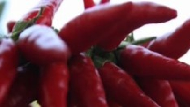 Alimenti che bruciano calorie