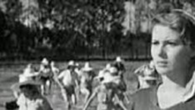 crisi dei risocoltori italiani