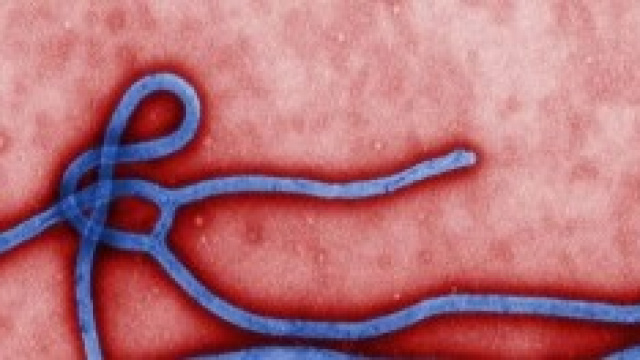 Ebola, medico all'avanguardia contrae il virus