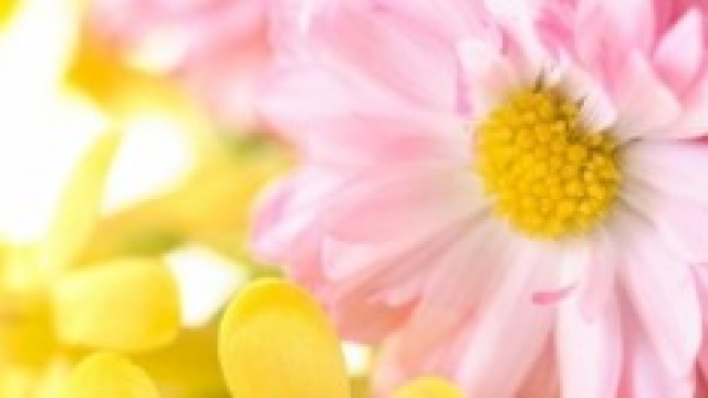 Una vita senza colori non &egrave; immaginabile. 