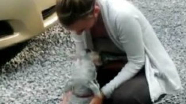 Rebecca Ehalt e il suo Casey