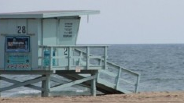 Spiaggia di Venice in California