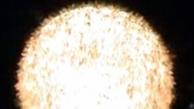 Una lampada ricoperta da insetti