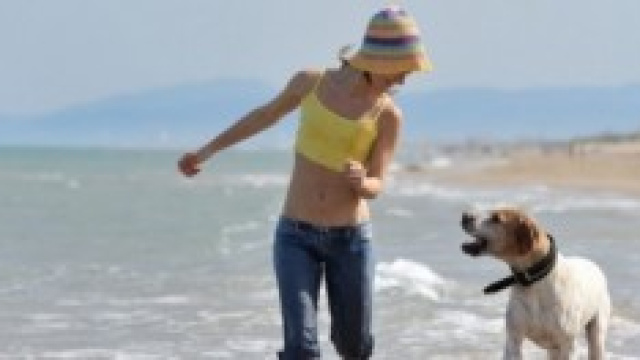 Quest anno il nostro cane viene in vacanza con noi