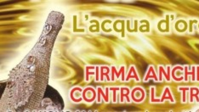 Petizione contro il comune di Reggio Calabria