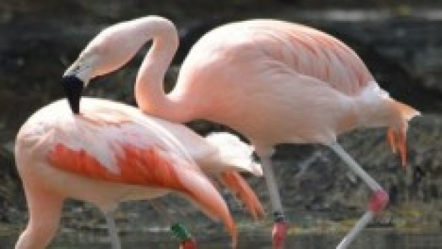 Amore e rapporti di coppia combattono lo stress