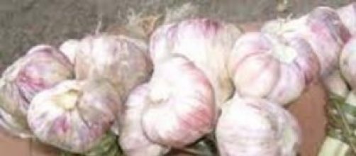 Magia pura en este alimento