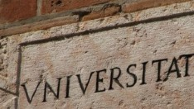 Bandi di concorso per docenti universitari.