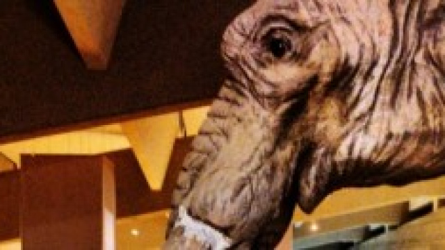 L'elefante Orlando, mascotte del Museo Paleolitico