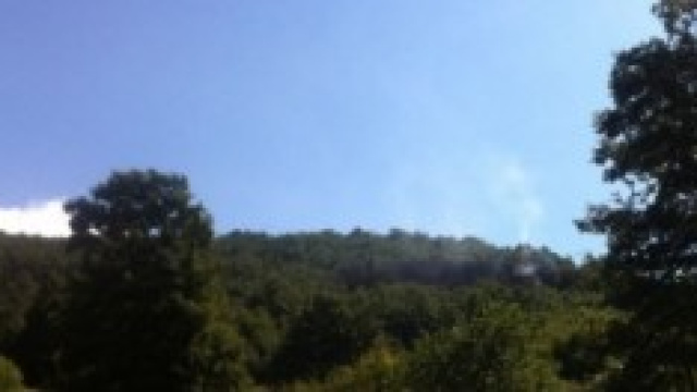 Il fitto bosco ed il fumo dei rottami