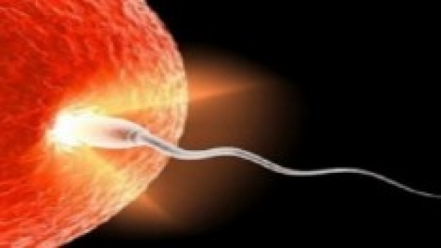 Il giudice Albano disconosce la madre genetica