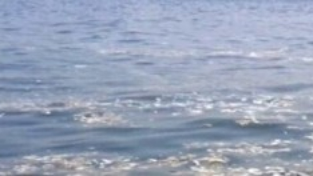 inquinamento del mare italiano