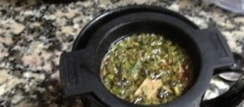 Preparado de una planta medicinal