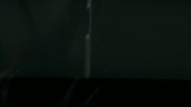 foto di vetrini di laboratorio su organoidi