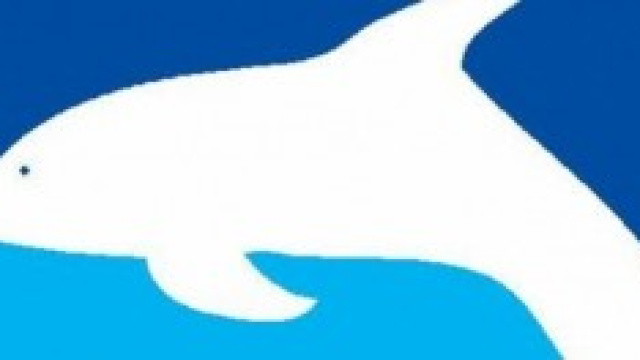 Il Pescara cerca difensori sul mercato