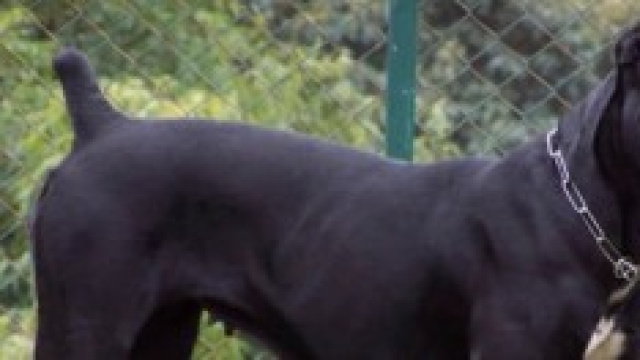 Rapporto Zoomark 2014: affari in crescita per fido