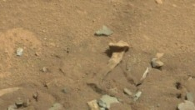 Nasa fotografa osso di femore su Marte