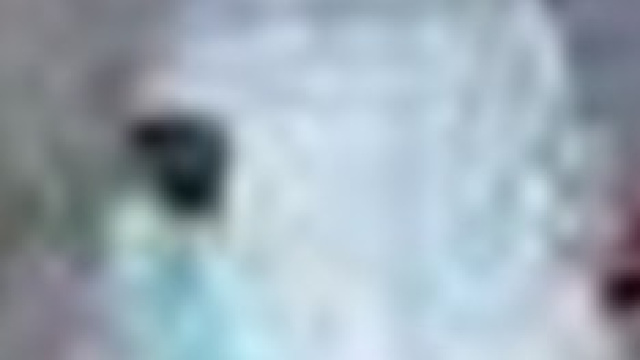 Probabile caso di Ebola per un'italiana.