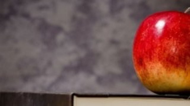 -Riforma scuola, essenziale istruzione in bilico-