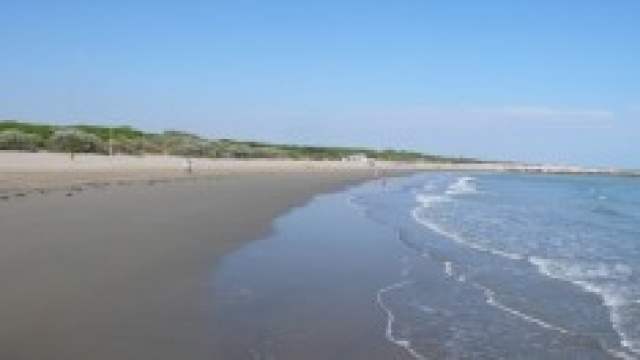 Frasi per un felice Ferragosto 2014