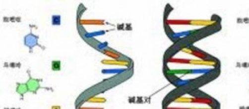 Celebrate Rosalind Franklin