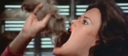 Diana comi&eacute;ndose un rat&oacute;n en "V"