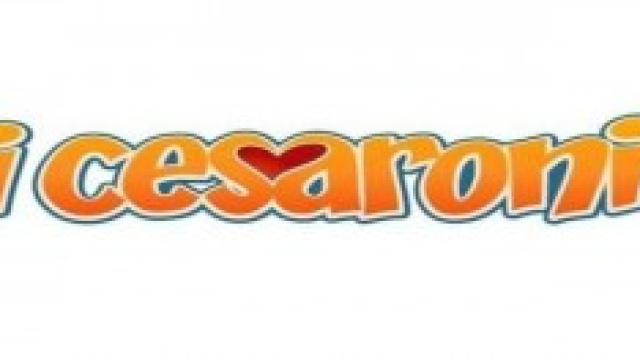 I Cesaroni 6: anticipazioni prima puntata
