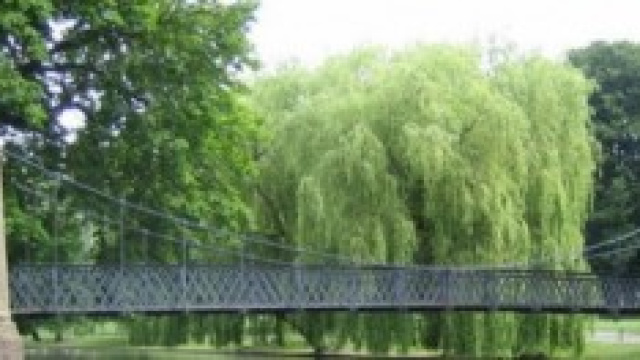 Il parco di Luton dove si &egrave; consumata la violenza