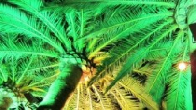 Baleari: guida turistica a Ibiza