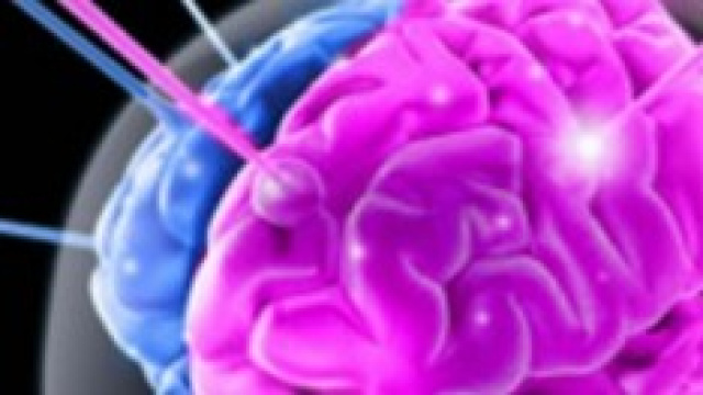 il cervello umano diviso nei due emisferi