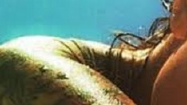 sole e tattoo il rapporto non &egrave; buono