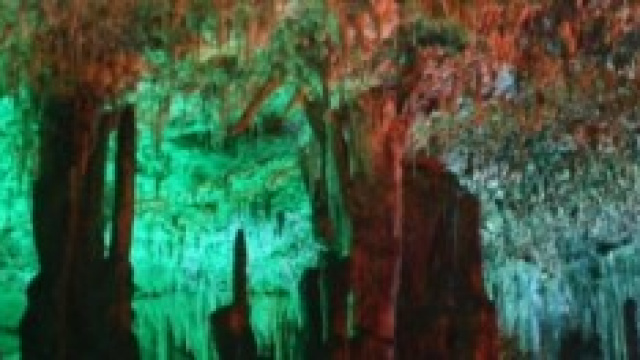 Cuevas del Drach - Puerto Cristo - Mallorca