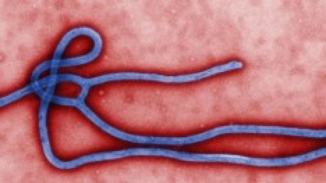 Ebola: tutte le info sul virus