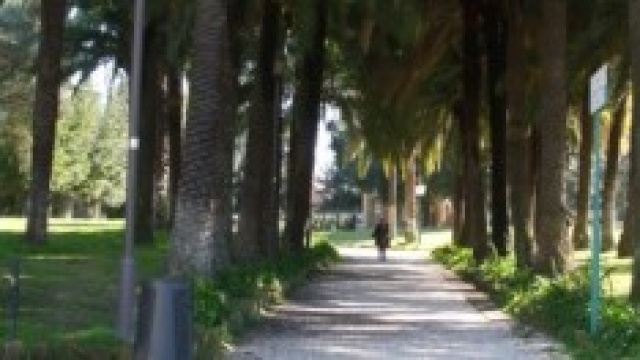 Villa Torlonia - Il viale da Via Nomentana 